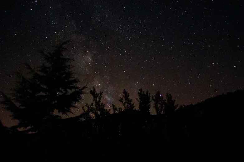 a few trees are silhouetted by the night sky