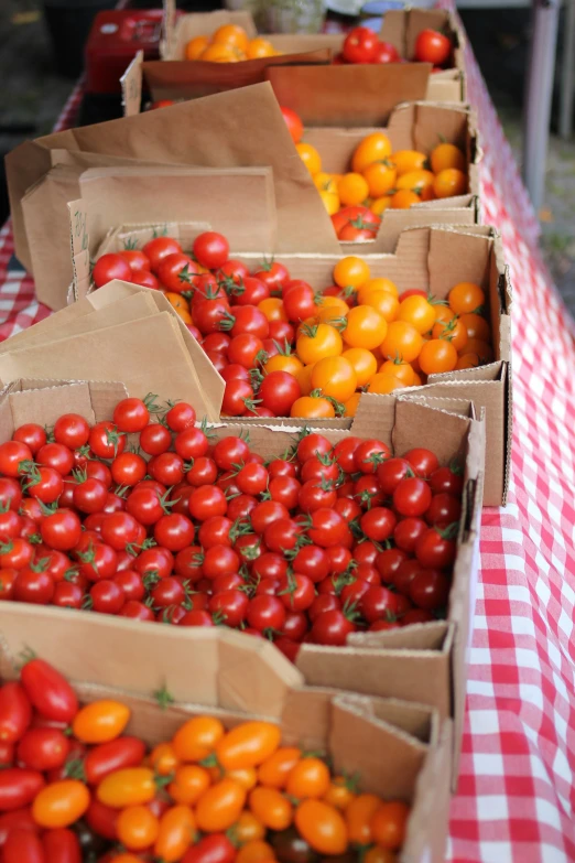 different sized boxes filled with tomatoes sitting on top of a table