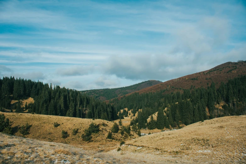 a landscape view of a mountain range with pine trees