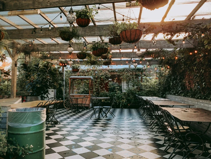 a patio with a checkered floor and a table and chairs, plants and potted plants