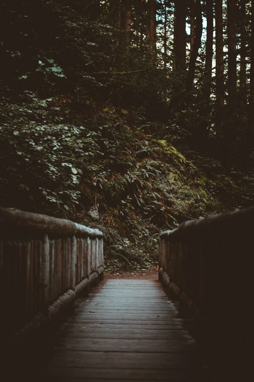 a very narrow bridge leading to some trees