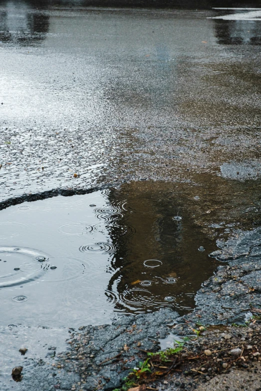 a small dle filled with water on the ground