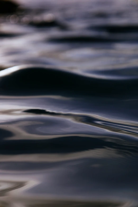 a large body of water with small waves in it