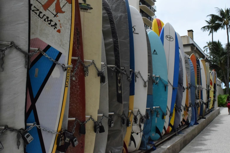 a row of surf boards with building in background
