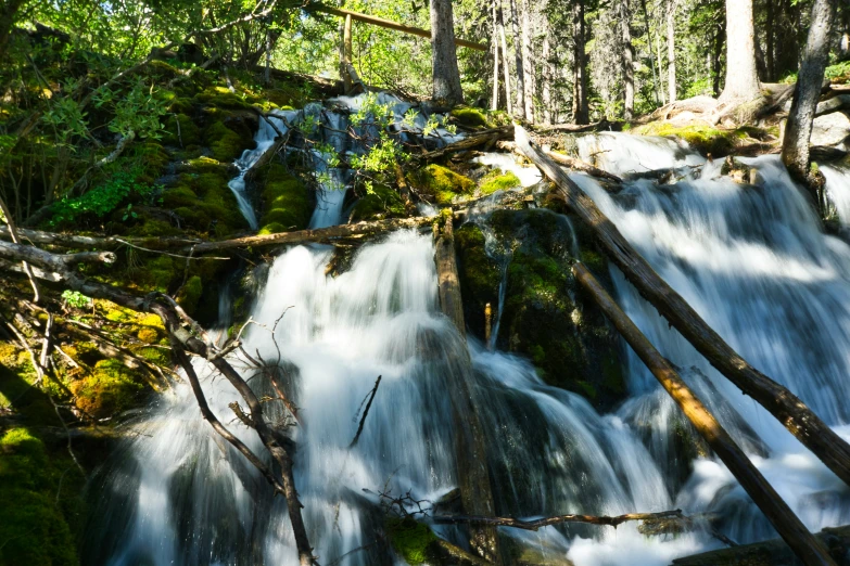 this is a long cascade in the woods