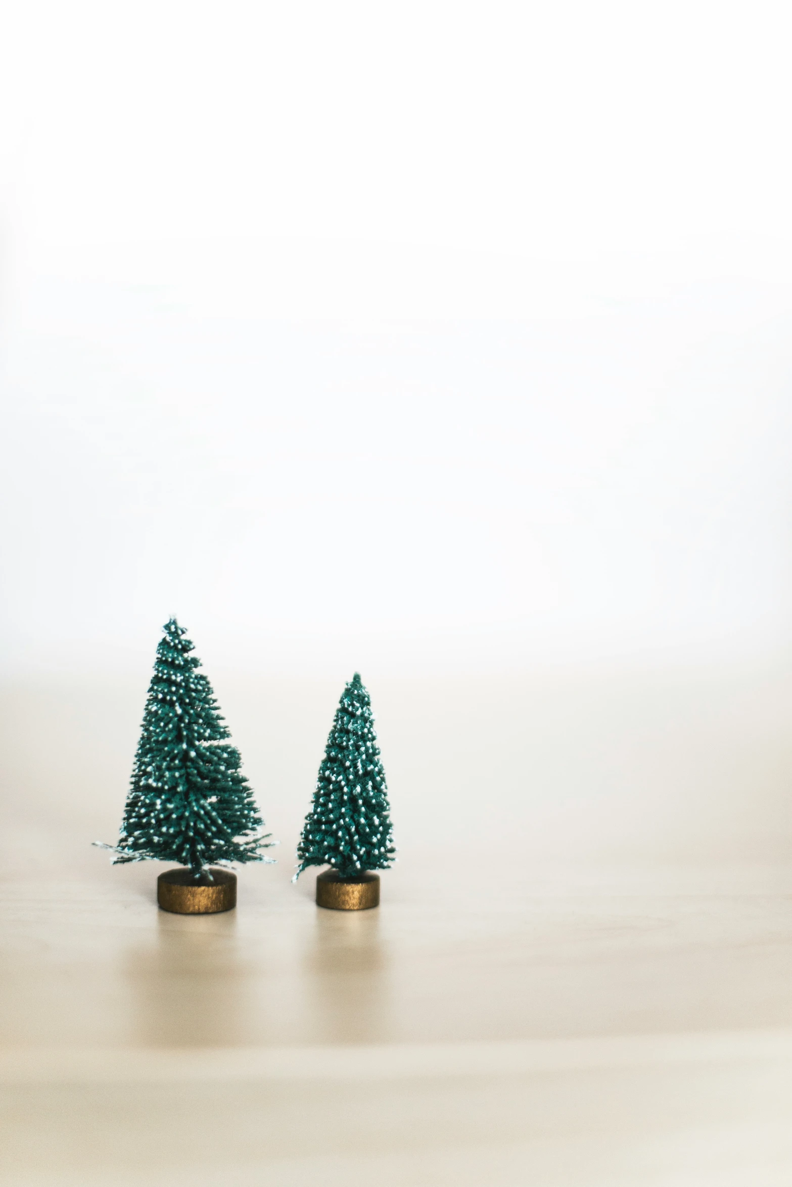 a pair of small trees sitting on top of a table