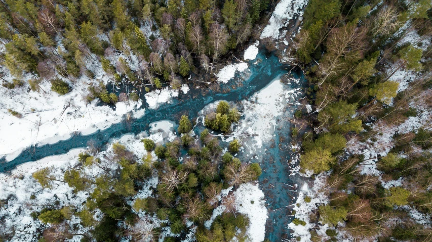 an aerial view of a wintery forest in the middle of winter