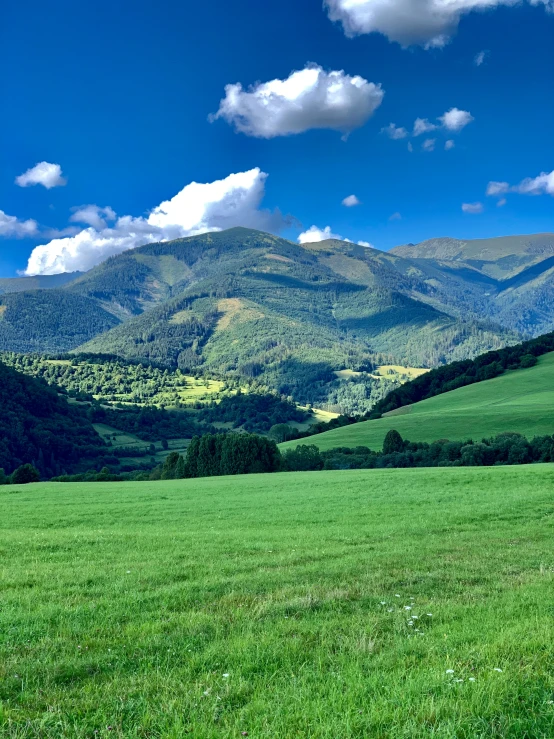 green fields with mountains in the background