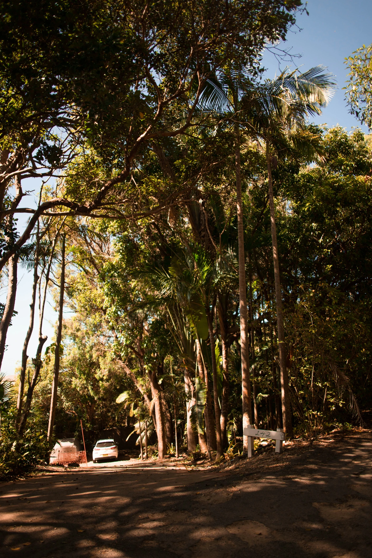 a po of trees, sand and a van