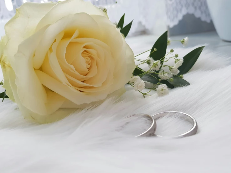 a pair of rings is sitting on white fur