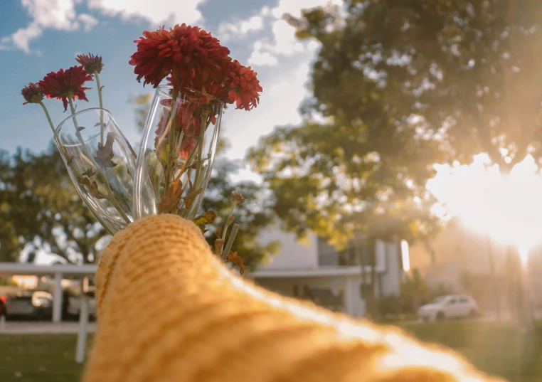 a hand holds some flowers with red flowers