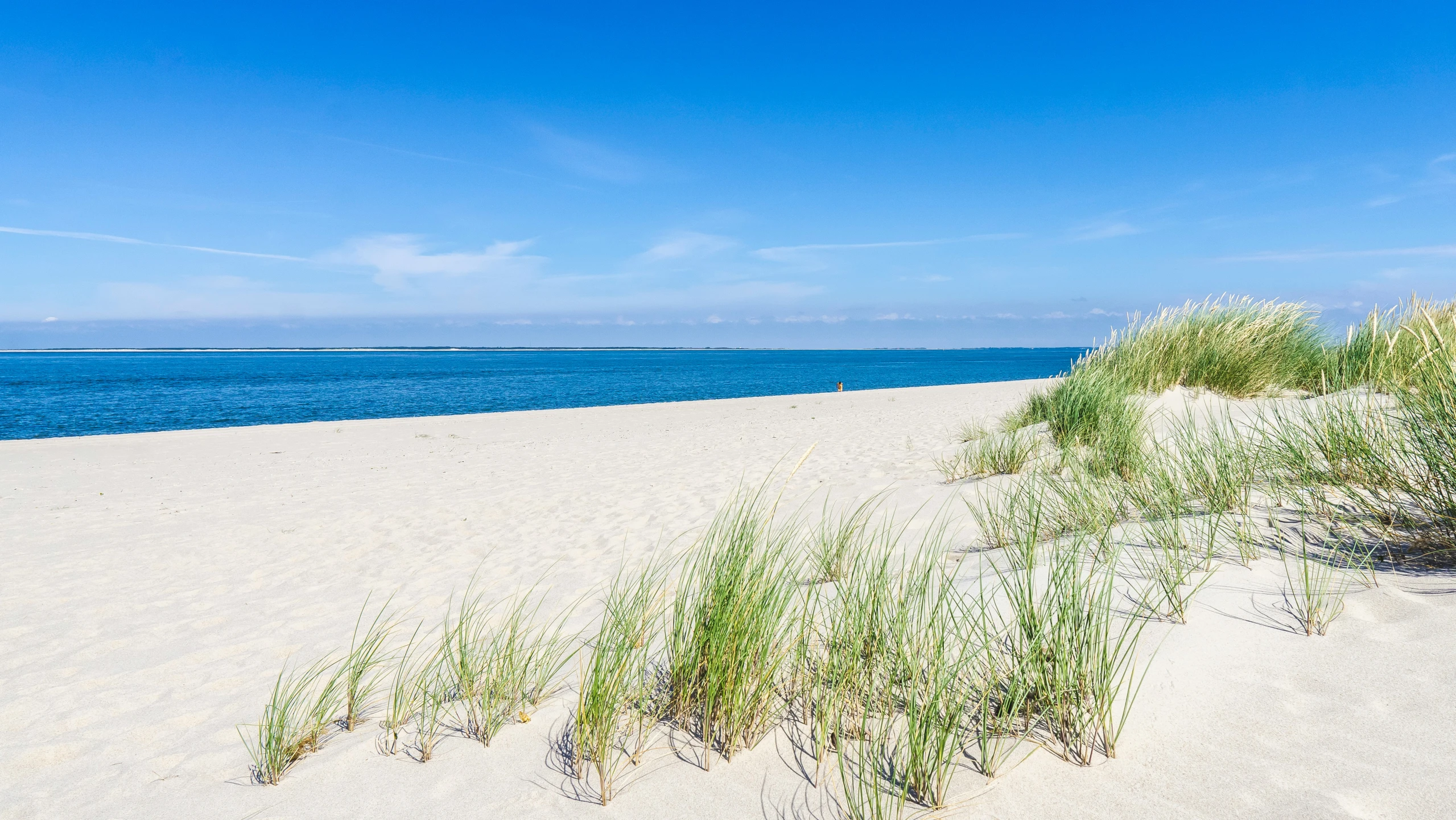 the sandy beach has grass and ocean in it