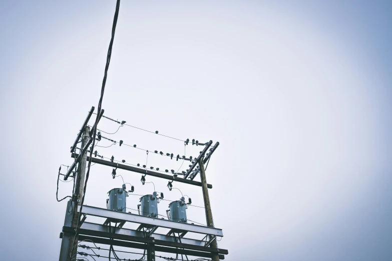 a television antenna with several birds on it