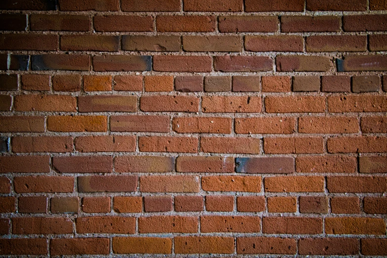 the brick wall of an empty building in an urban setting