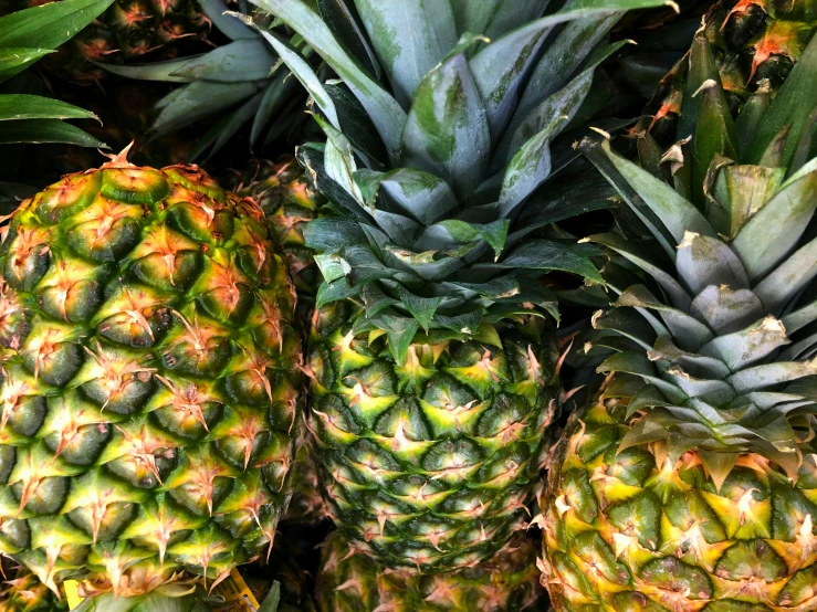 there are many pineapples in a pile on display