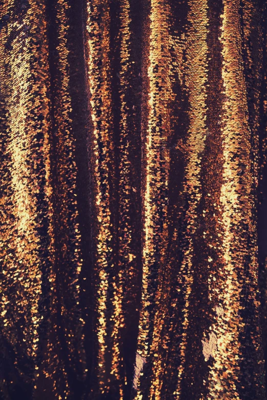 the surface of the water is covered with metallic foil