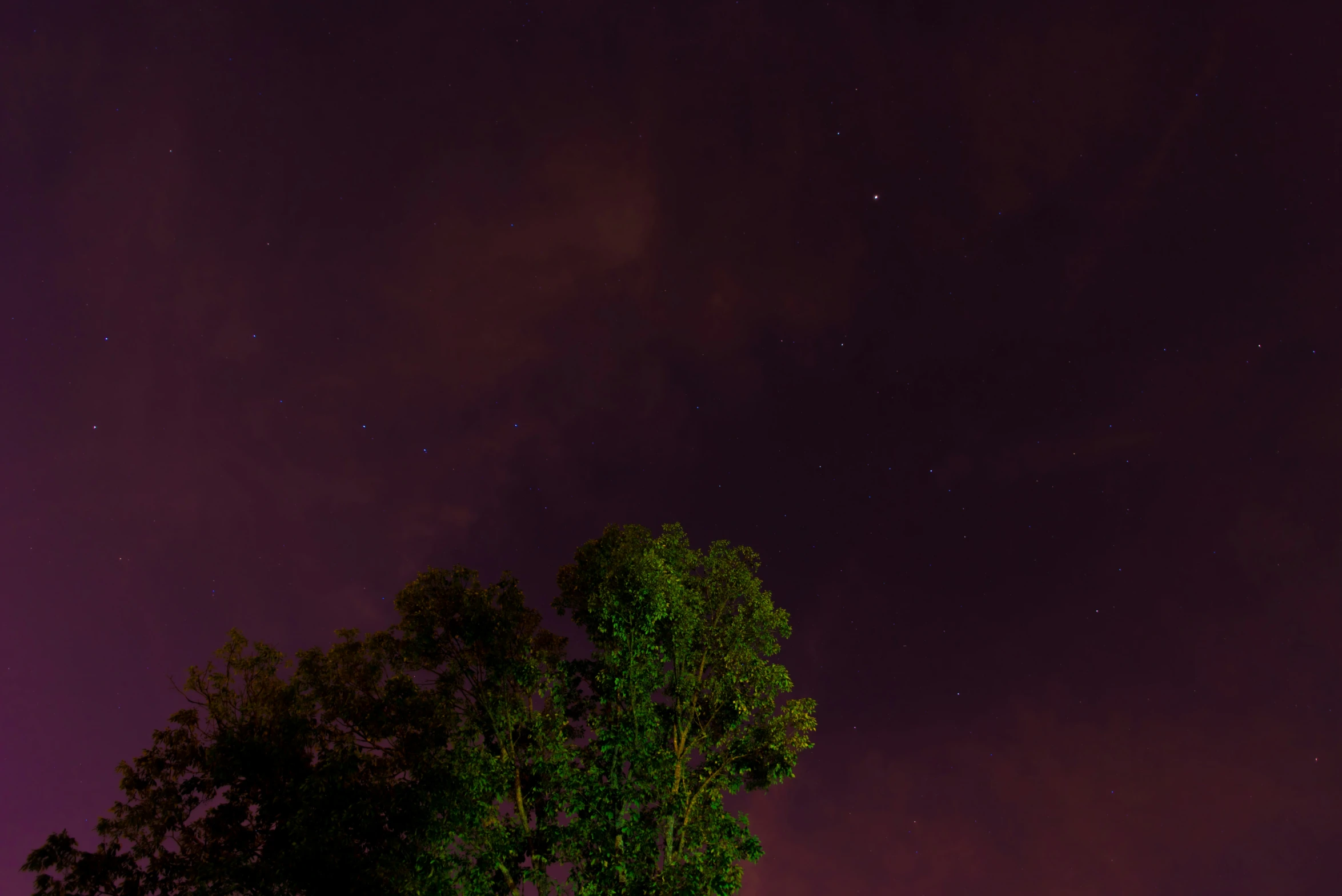 stars, clouds, and tree at night time