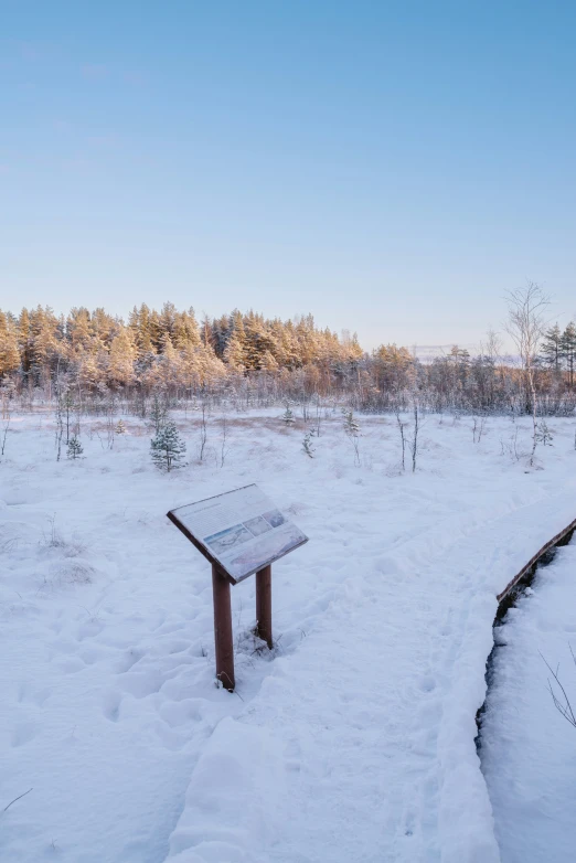 a small wooden bench in a snowy area with lots of trees