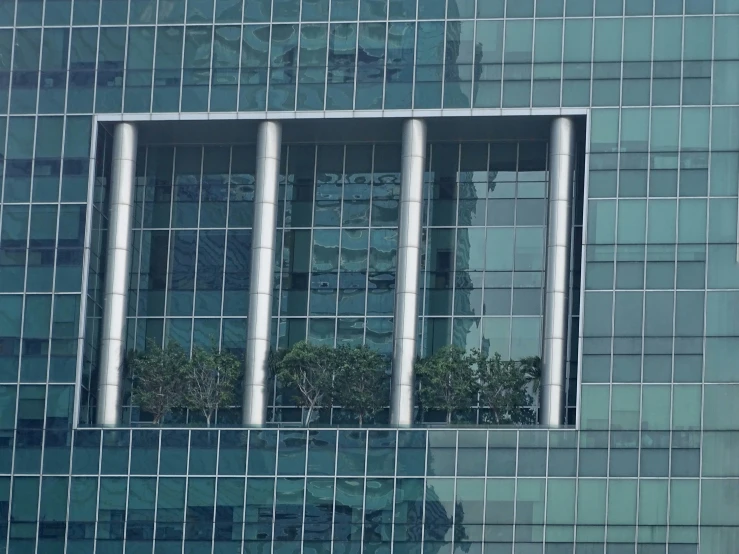 a window on the side of a large building that has glass bars holding trees in it