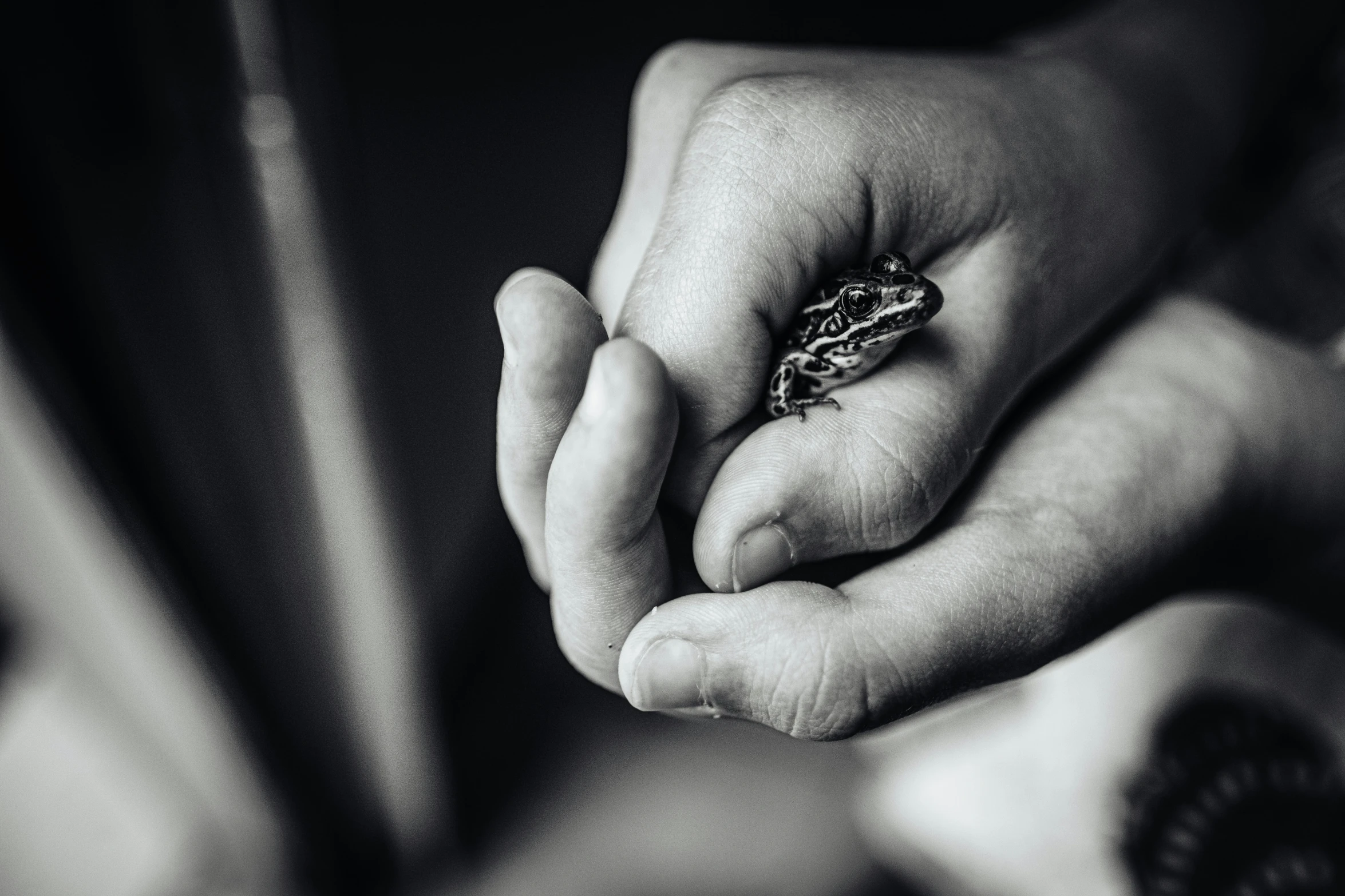 a person holding onto a small animal in their hands