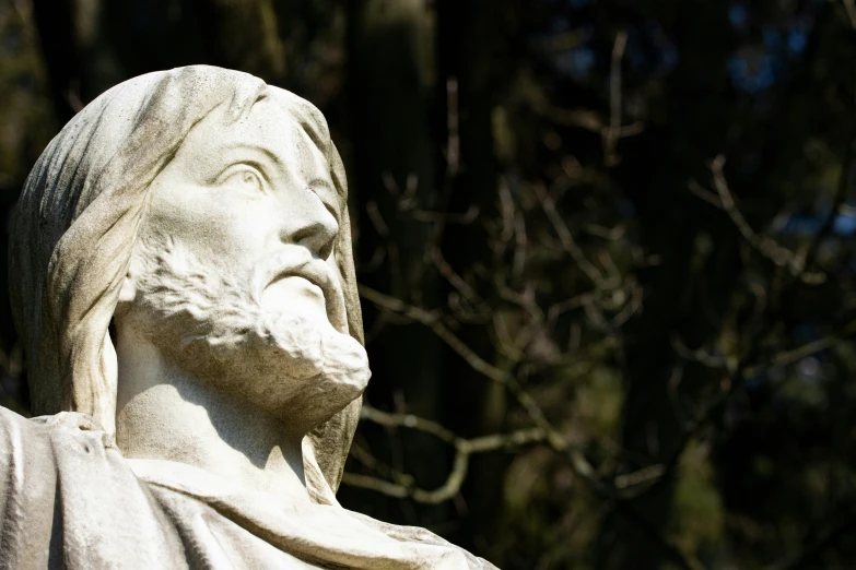 a statue is shown in front of some trees