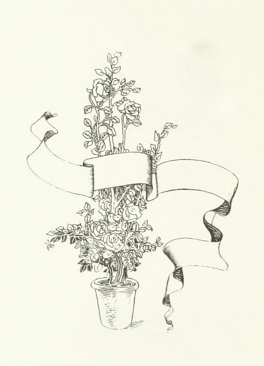 a drawing of flowers that is on a table