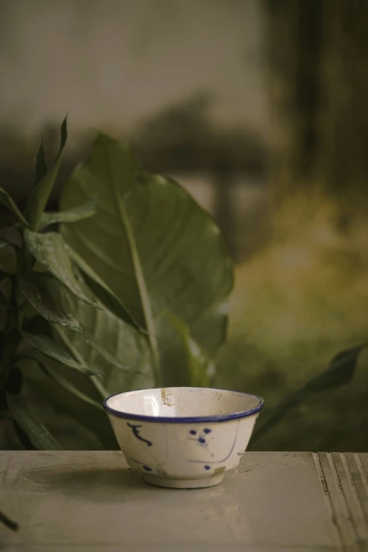 a bowl with a blue line painted on it