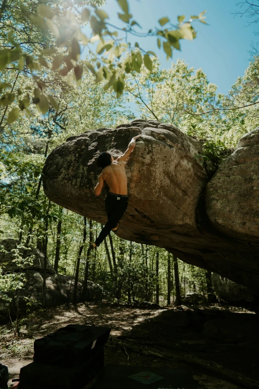 a person sitting on a large rock in the woods