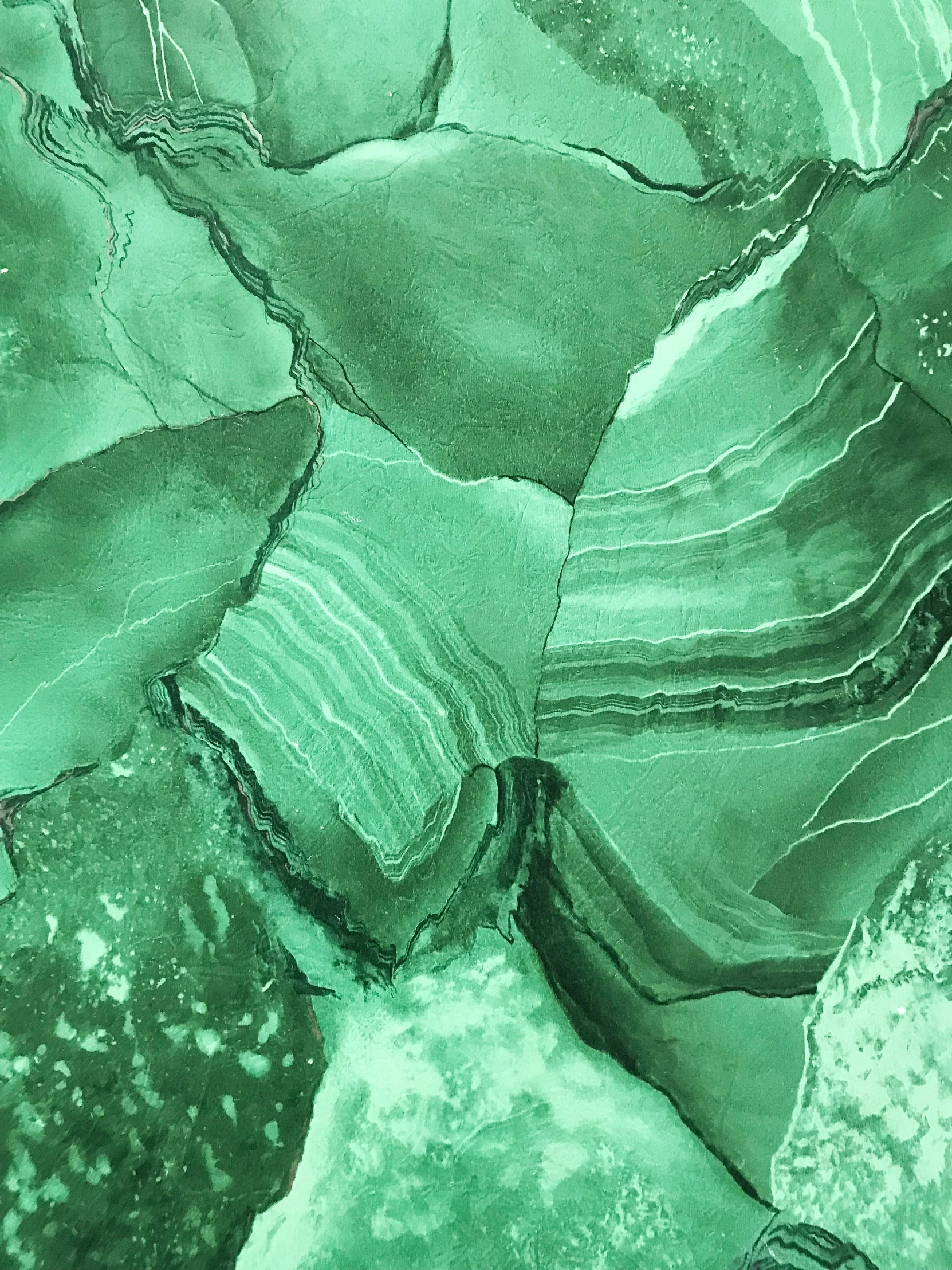 a close up of rocks and algae in the water