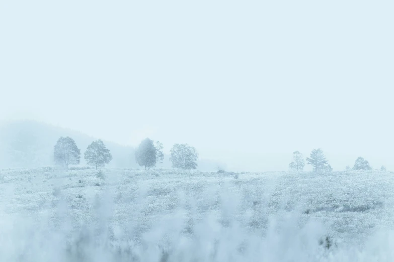 a field filled with lots of fog on top of it