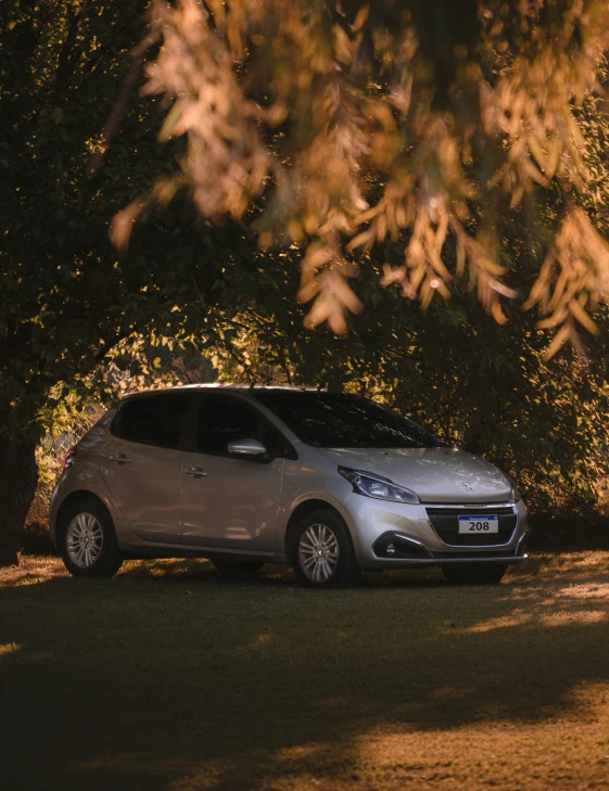 the small silver car is parked near the trees