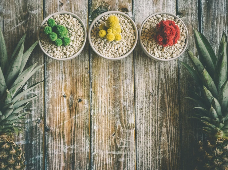 three bowls of food sitting on top of a wooden table