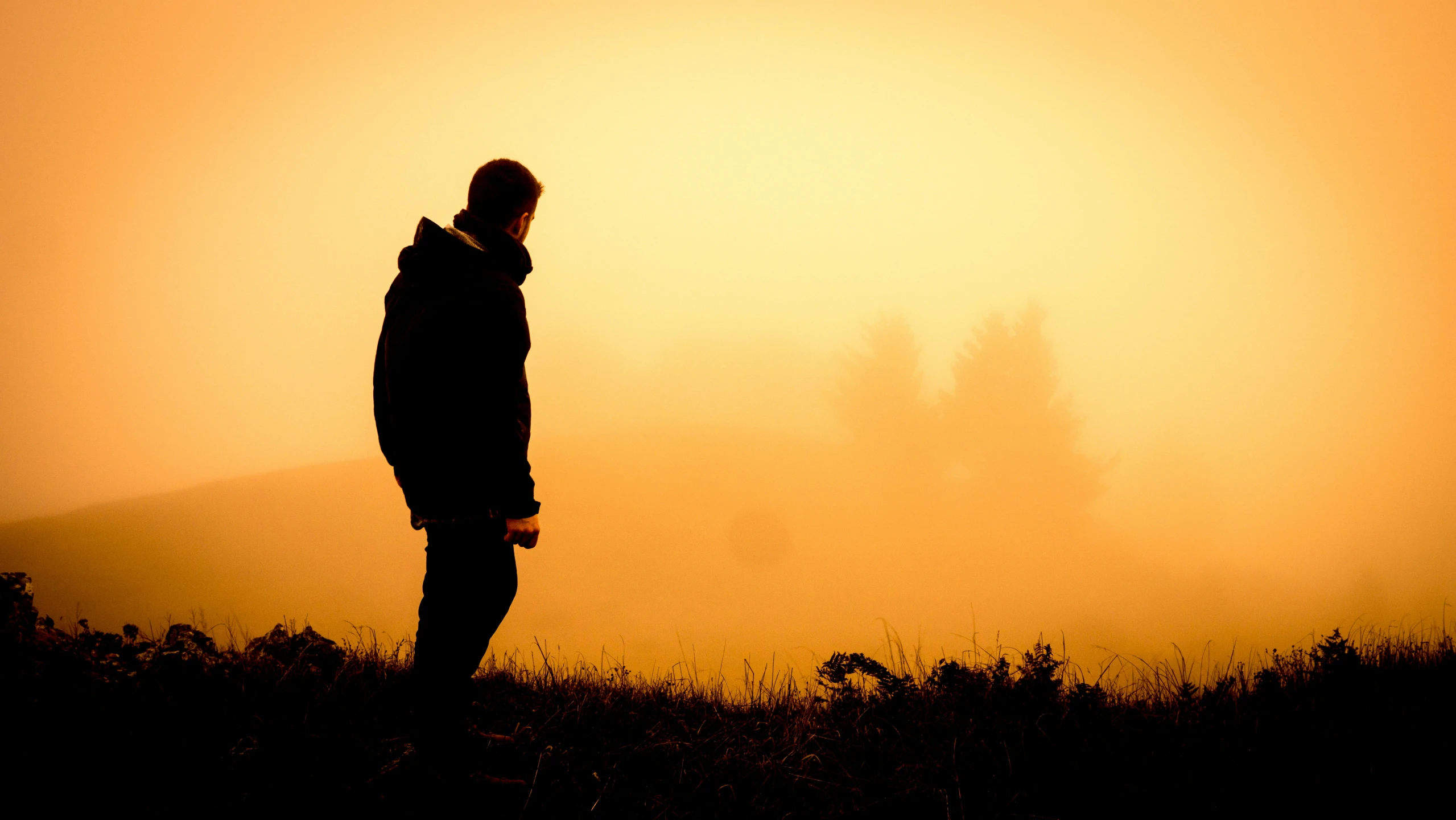 a person stands alone on top of a hill