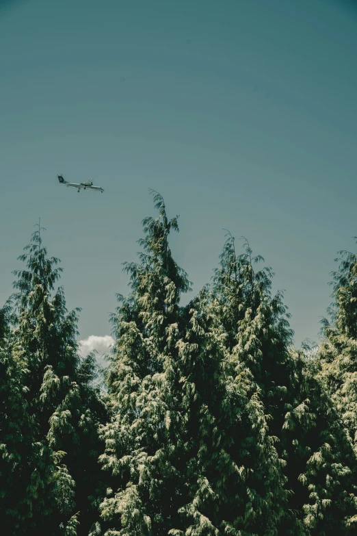 a plane flying over a large forested forest