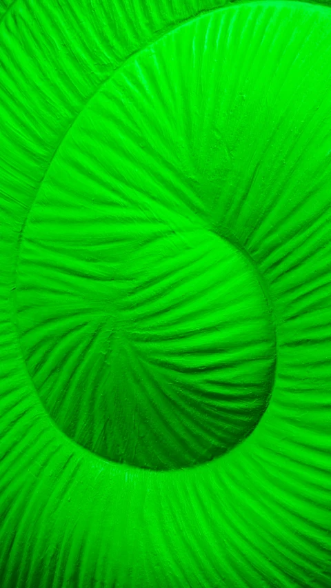 close up view of a spiral green textured fabric