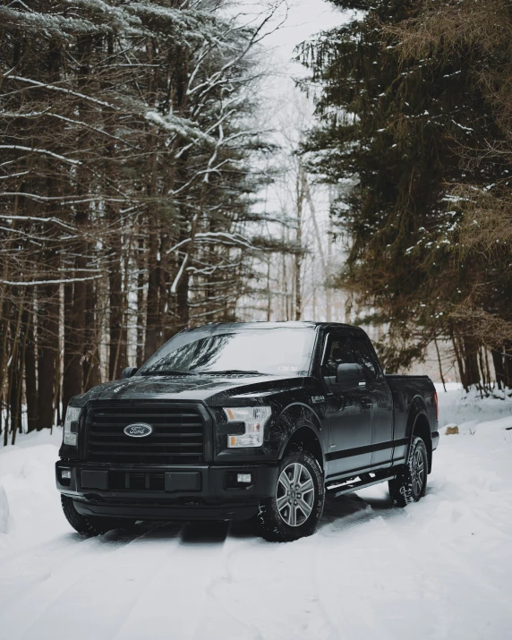 a black truck parked next to trees in the snow