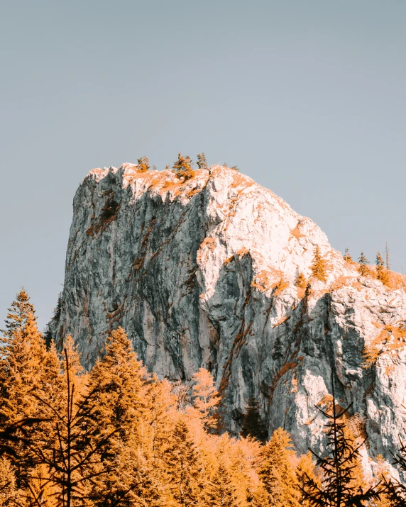 a lone bird flying over the top of the mountain