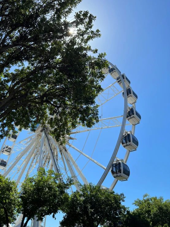 the ferris wheel at the park looks amazing