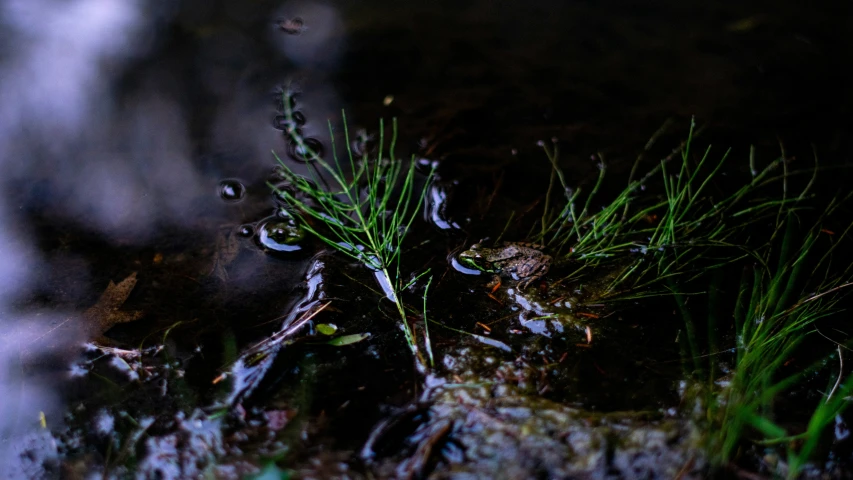 a close up view of a piece of food on the ground