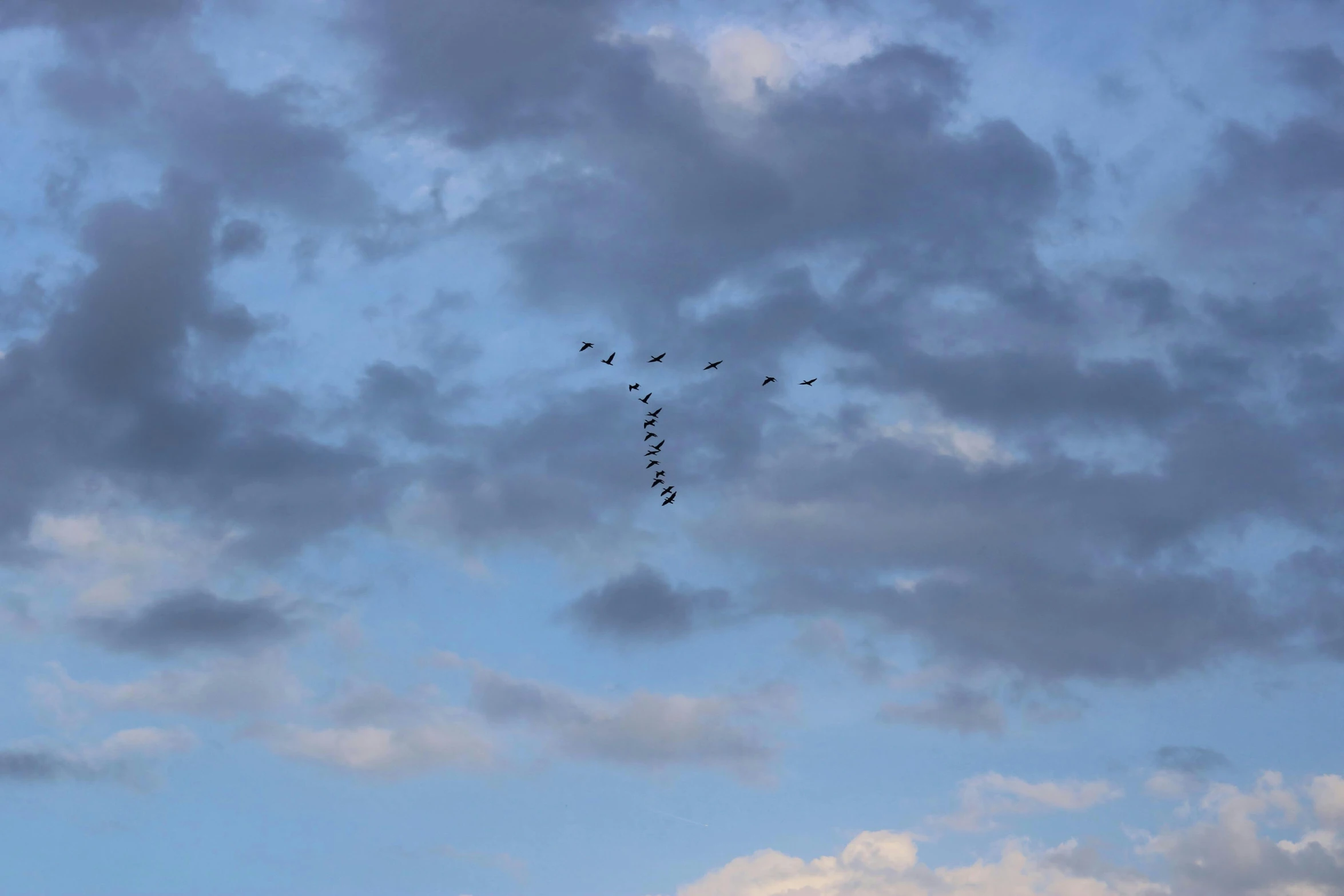 a flock of birds flying over the top of a cloudy sky