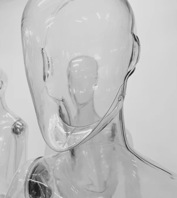 a glass mannequin made to look like the back of a head