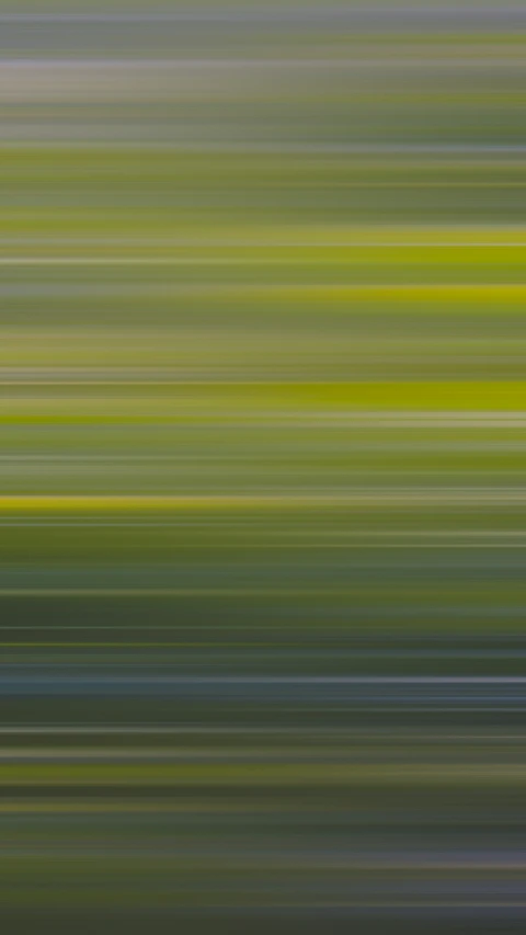 green blurred pograph with white background