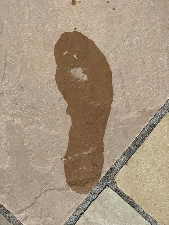 an odd shadow shows a person's torso