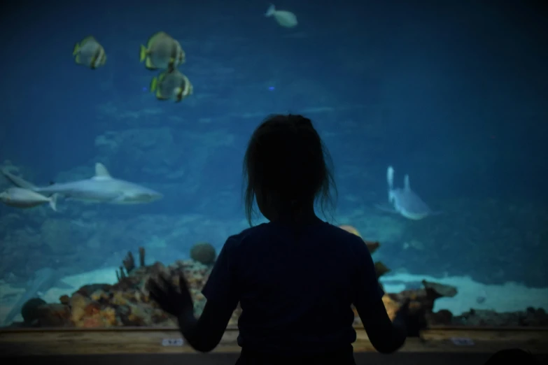 a woman looking at several fishes swimming by in an aquarium