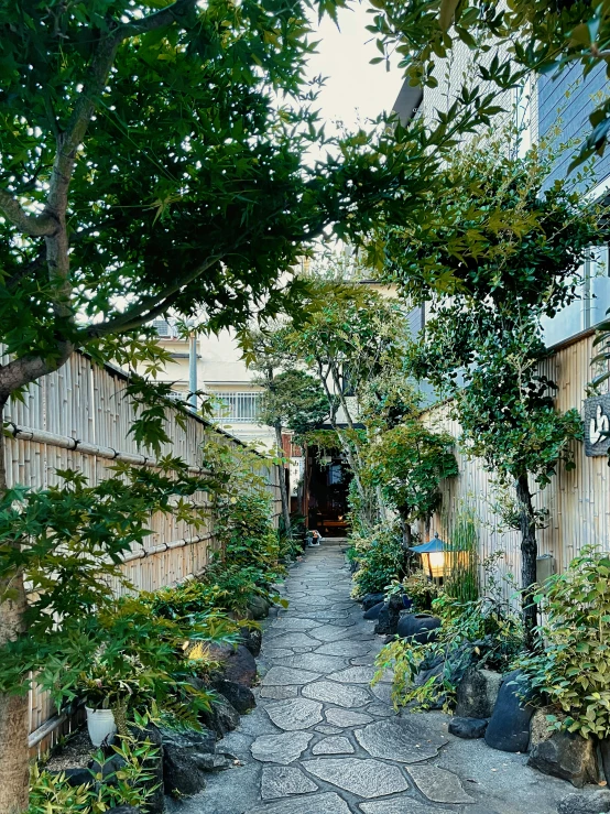 an alley with potted plants lining the side