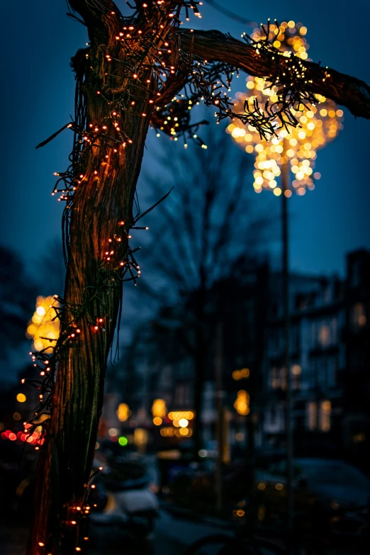 some lights hanging from a tree lit up by cars at night