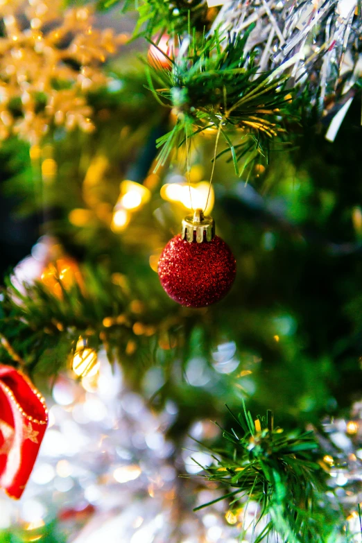 the decoration on a christmas tree looks like an ornament