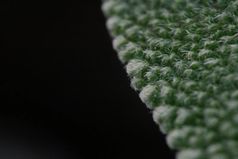 close up view of a carpet texture