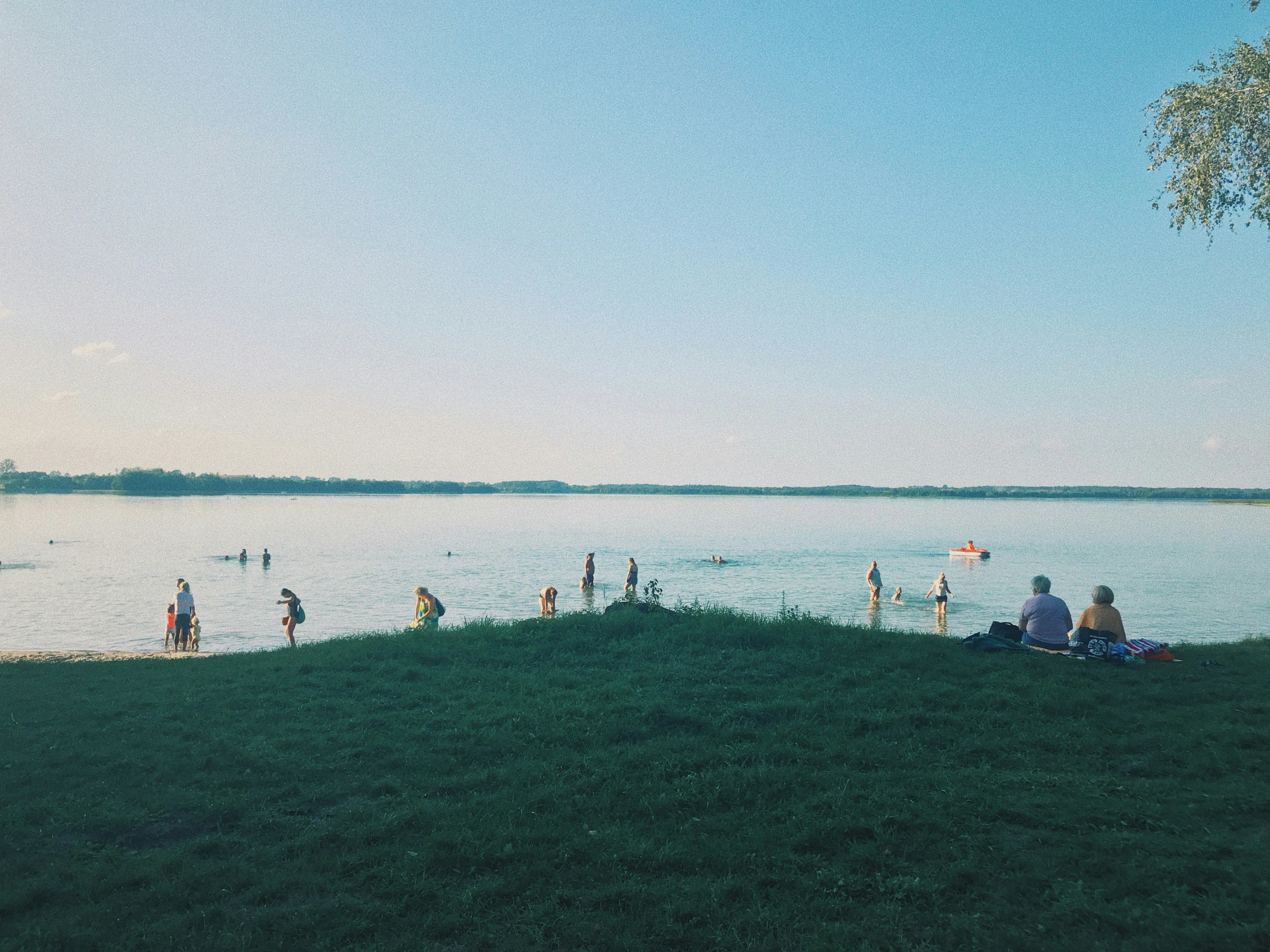 some people are on the green hill overlooking the water