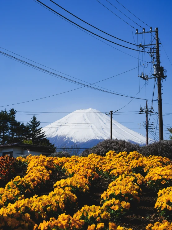 a large mountain with a snow capped peak above it